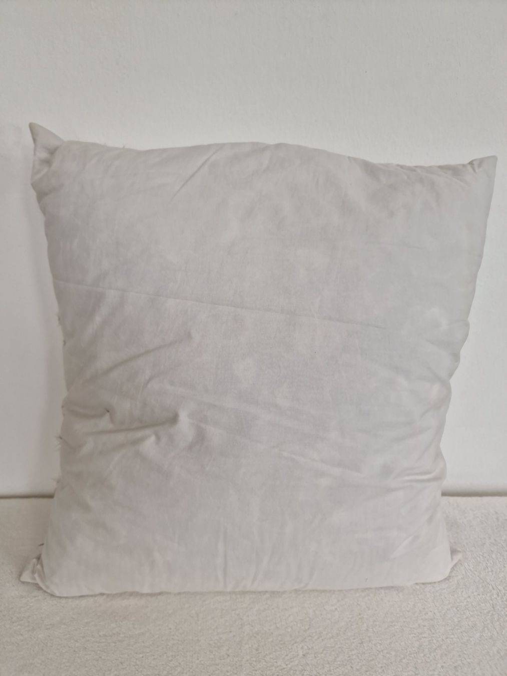 Cuscini: Federkissen 50cm x 50cm – Usato da Hallau venduto da CHACLA