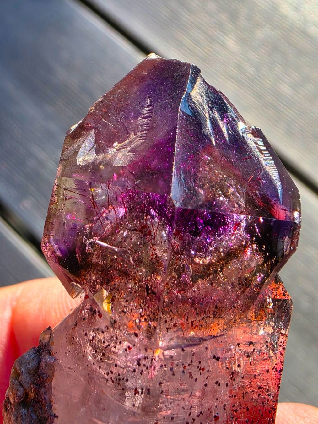 Minerali & Pietre curative: Enchanting Zimbabwe Amethyst scepter with Hematite inclusion – Usato da Figino venduto da minshop