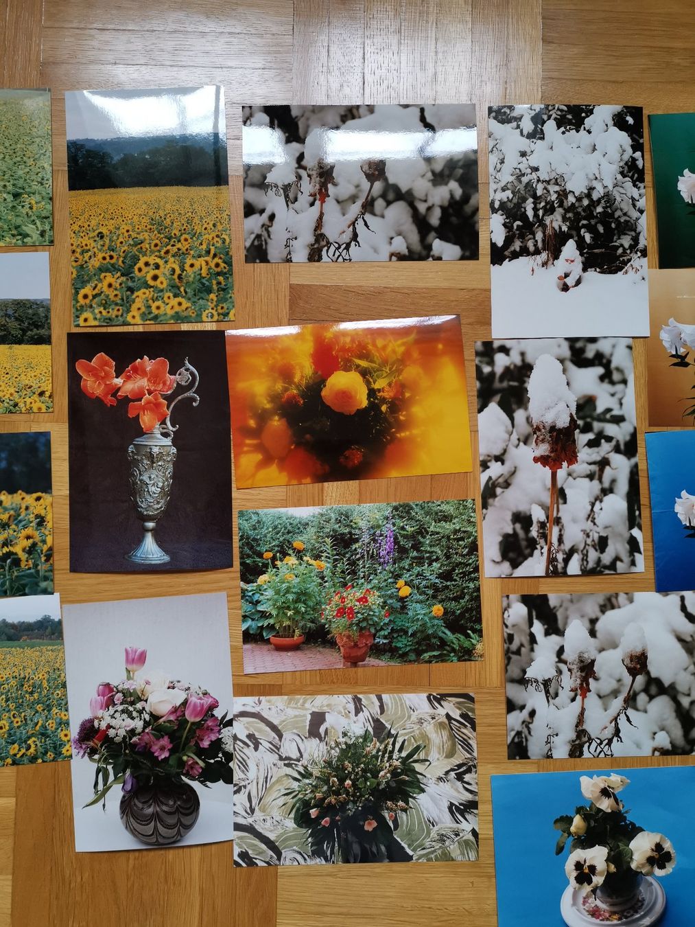 Karten: 21 Foto Karten, Blumen – Neu (gemäss Beschreibung) aus Dornach von Hei50 2