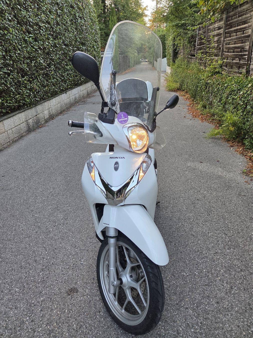 Scooters: scooter Honda sh mode 125 – Gebraucht aus Troinex von Skippy3