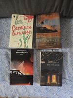 4 libri Stephen King, DeLillo, Van Pelt, Brookner italiano