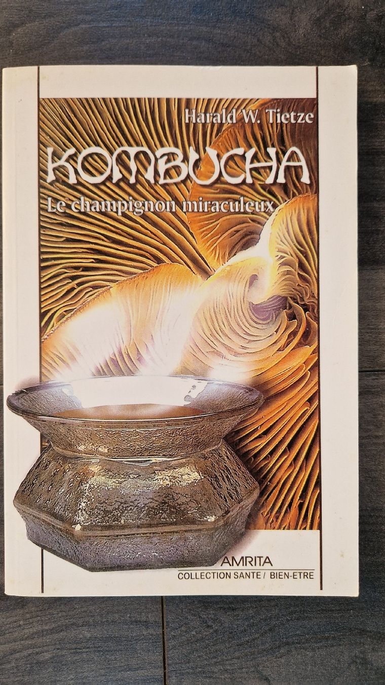 Bücher: Livre sur le Kompucha – Neu (gemäss Beschreibung) aus Ste-Croix von Sporchet