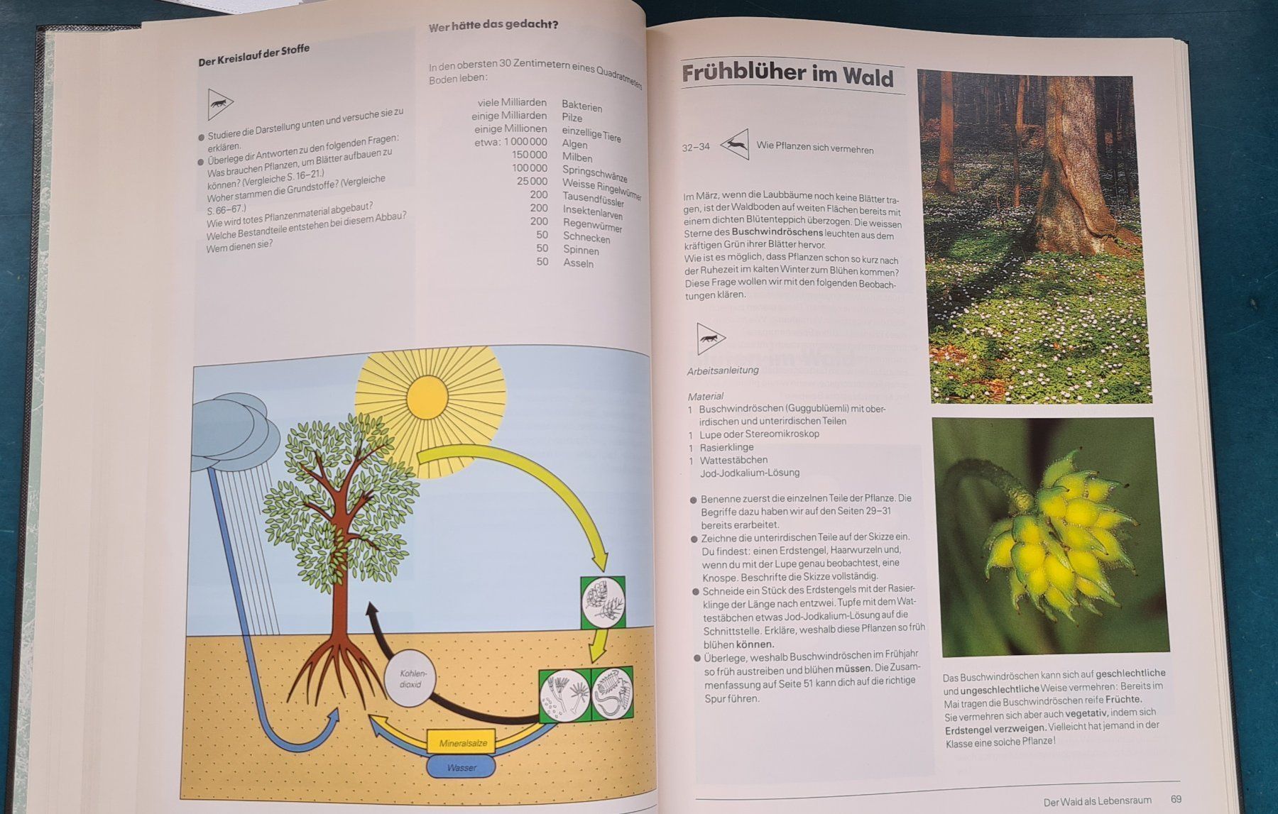 Libri: Naturspuren – Nuovo (secondo la descrizione) da Winkel venduto da Tongabonga 2