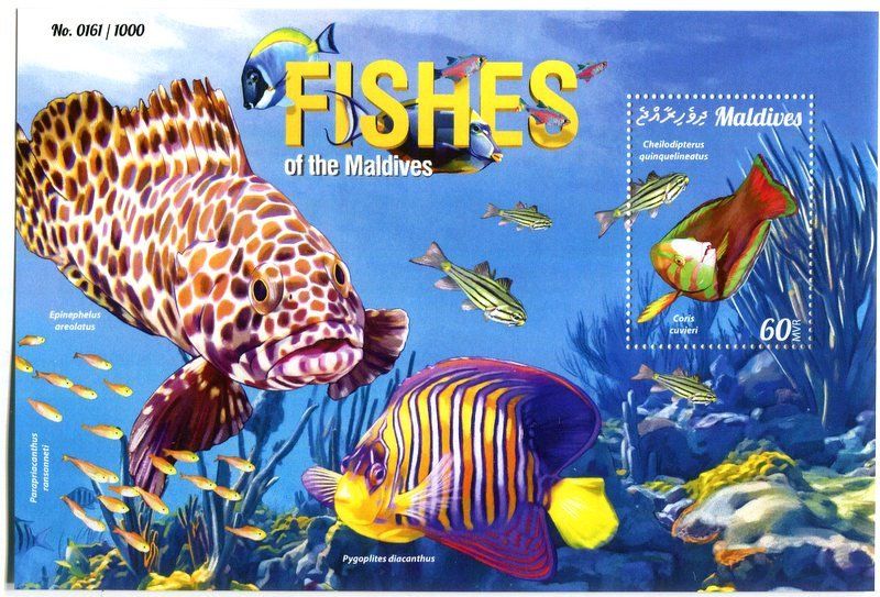 Alle Briefmarken: Block "Fische". Malediven. – Neu und originalverpackt aus Basel von Butsch5