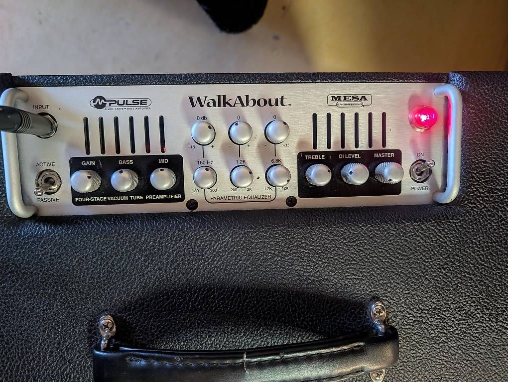 Mesa Boogie Amplificatori: Mesa Boogie Walkabout Basscombo  Scout 15 – Usato da Pratteln venduto da dado1972 1