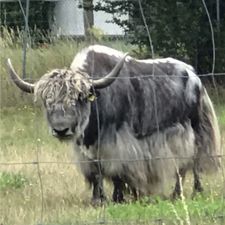 Profile image of StefanCH1