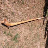Alphorn