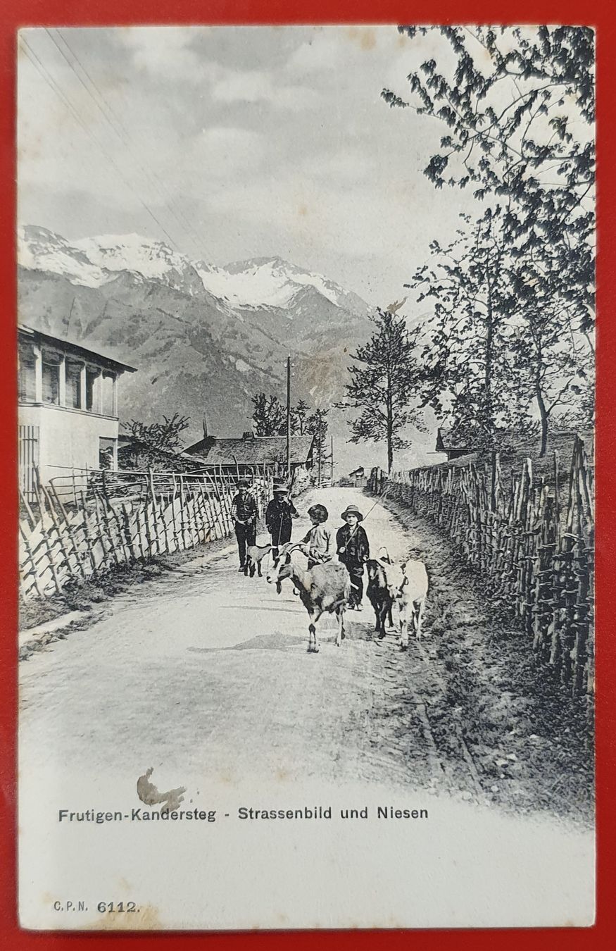 Ansichtskarten: Frutigen - Kandersteg 1908, Kinder mit Ziegen – Gebraucht aus Kreuzlingen von Rschweiz1