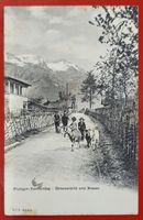 Frutigen - Kandersteg 1908, Kinder mit Ziegen