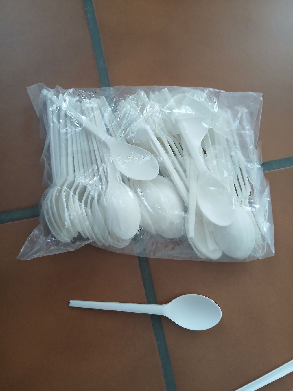 Geschirrsets: Plastik Geschirr restbestand – Gebraucht aus Niederönz von jes_9vs5 1