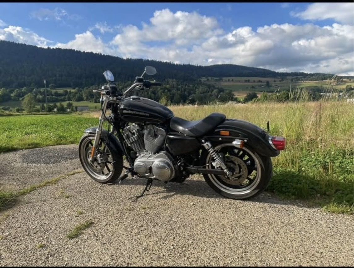 Harley-Davidson Cruisers: Harley Davidson XL883L – D'occasion à Fleurier par loiseau2112 2