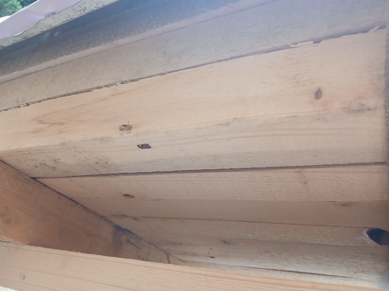 Altre attrezzature per stalle: Weide zaun pfähle  – Nuovo e nell'imballaggio originale da Willisau venduto da Holz1988 3