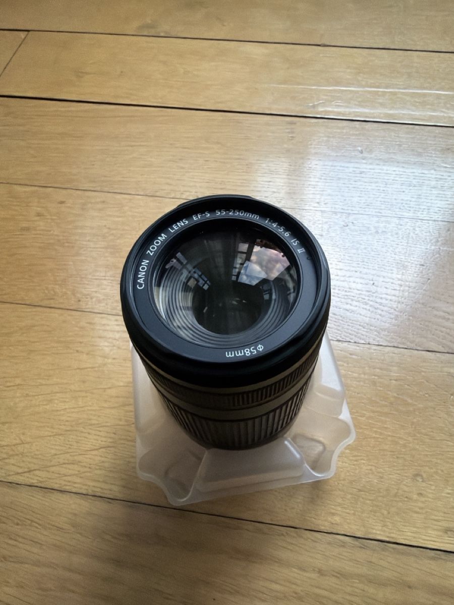 Canon Obiettivi: Canon Objektiv EFS 55-250mm – Nuovo (secondo la descrizione) da Basel venduto da Wotan 3
