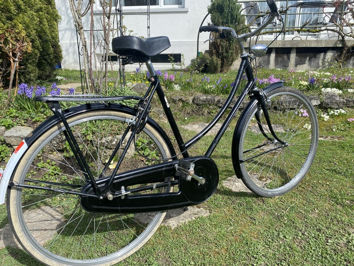 hersteller gazelle fahrräder Paris C7+ – 400 Wh, Herren Van Raam Easy Rider Category:City Urban Helme_City  Urban  Trekking optimized components Size:17T 3/32 in