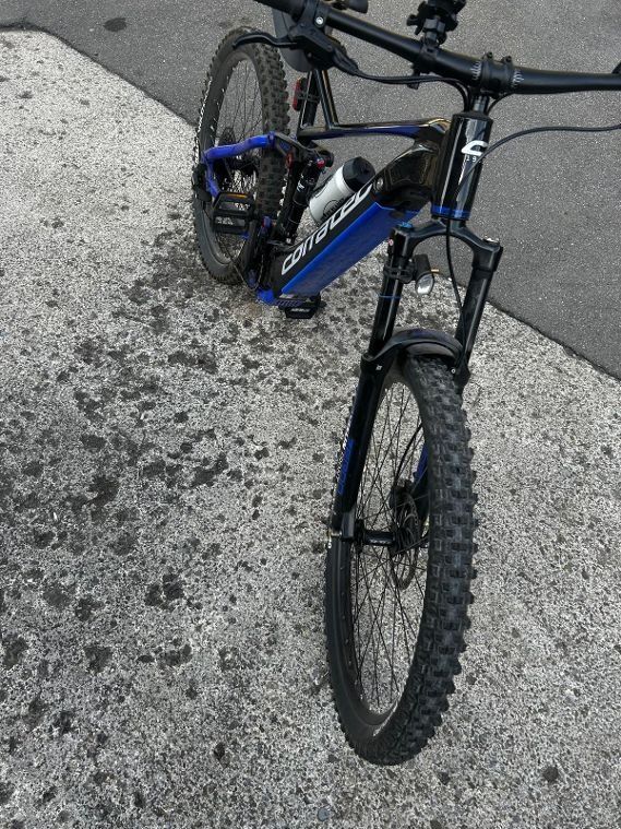 Corratec Biciclette: Mountainbike Corratec E-Power RS 160 LTD – Usato da Walchwil venduto da Cora15 3
