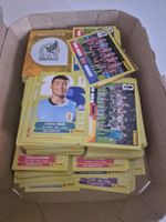 Panini Wm 2026 Sticker Sammlung!