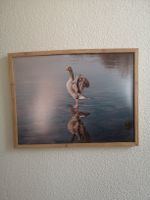 Bilderrahmen mit Gans am Sempachersee
