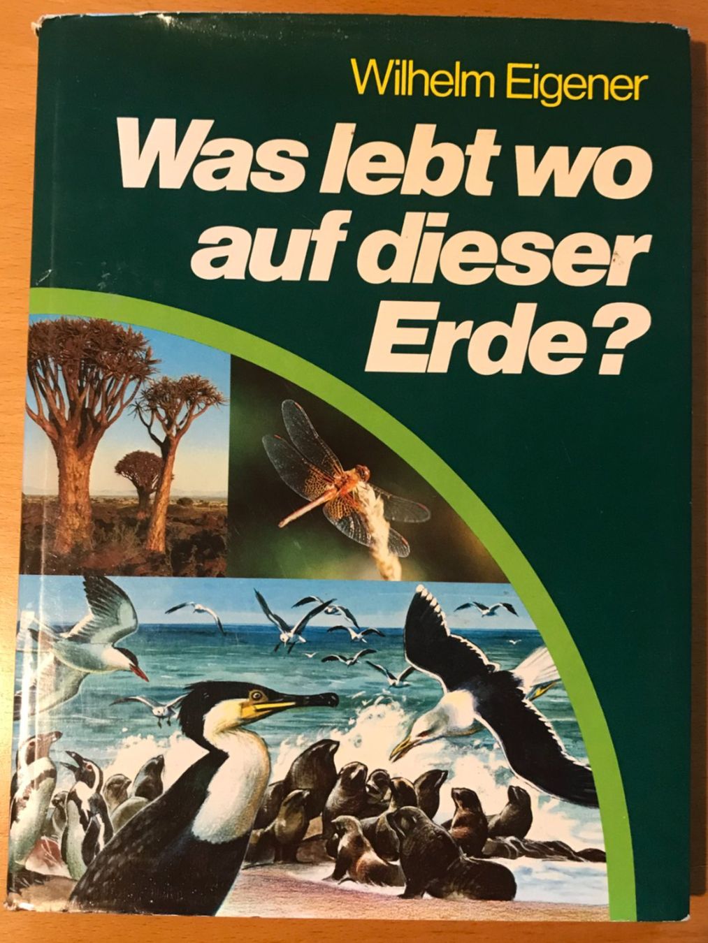 Libri: antiquarisches Buch: Was lebt wo auf dieser Erde? – Usato da Luzern venduto da mey_s13
