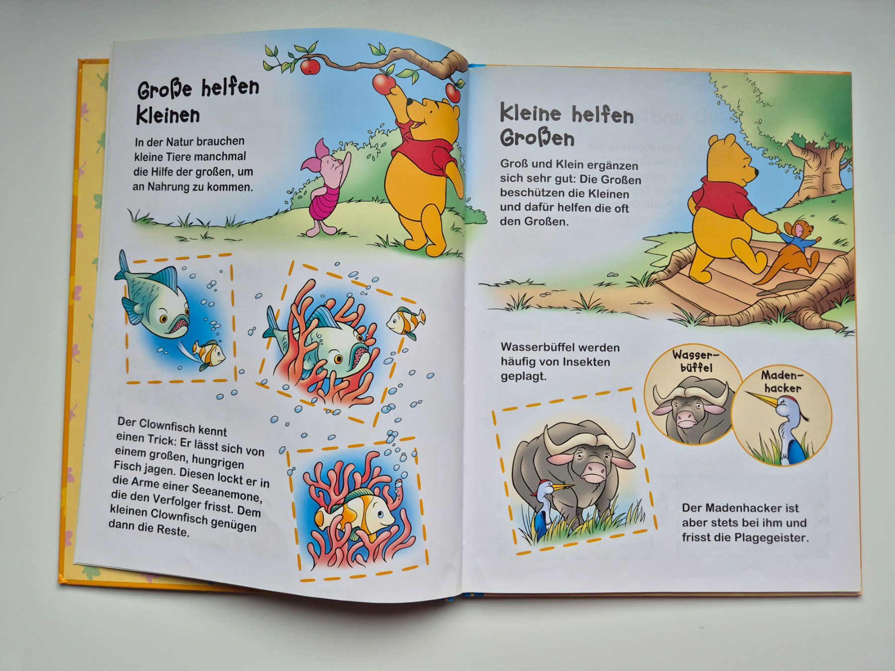 Bücher: WINNIE PUUH   -   Entdecke Gegensätze – Gebraucht aus Niederweningen von Obson 1