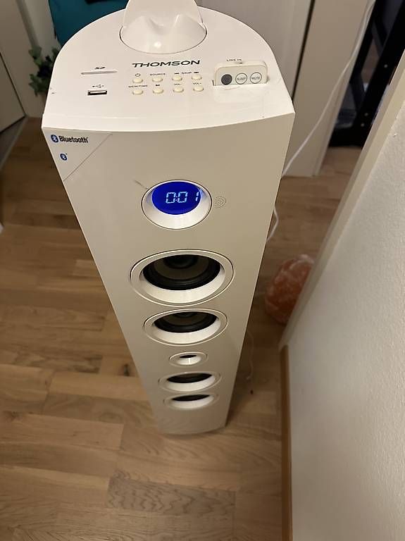 Casse acustiche: Thomson Bluetooth Tower Speaker DS401 – Usato da Abtwil SG venduto da Riono-01 3