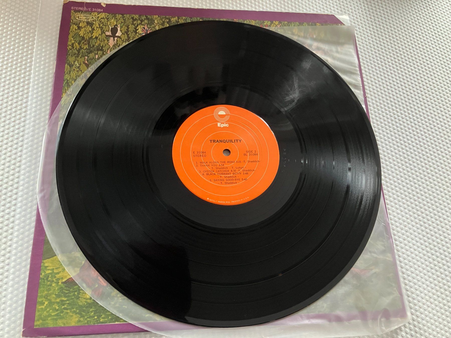 Dischi in vinile: Tranquility – Usato da Aarwangen venduto da Jukebox3 6