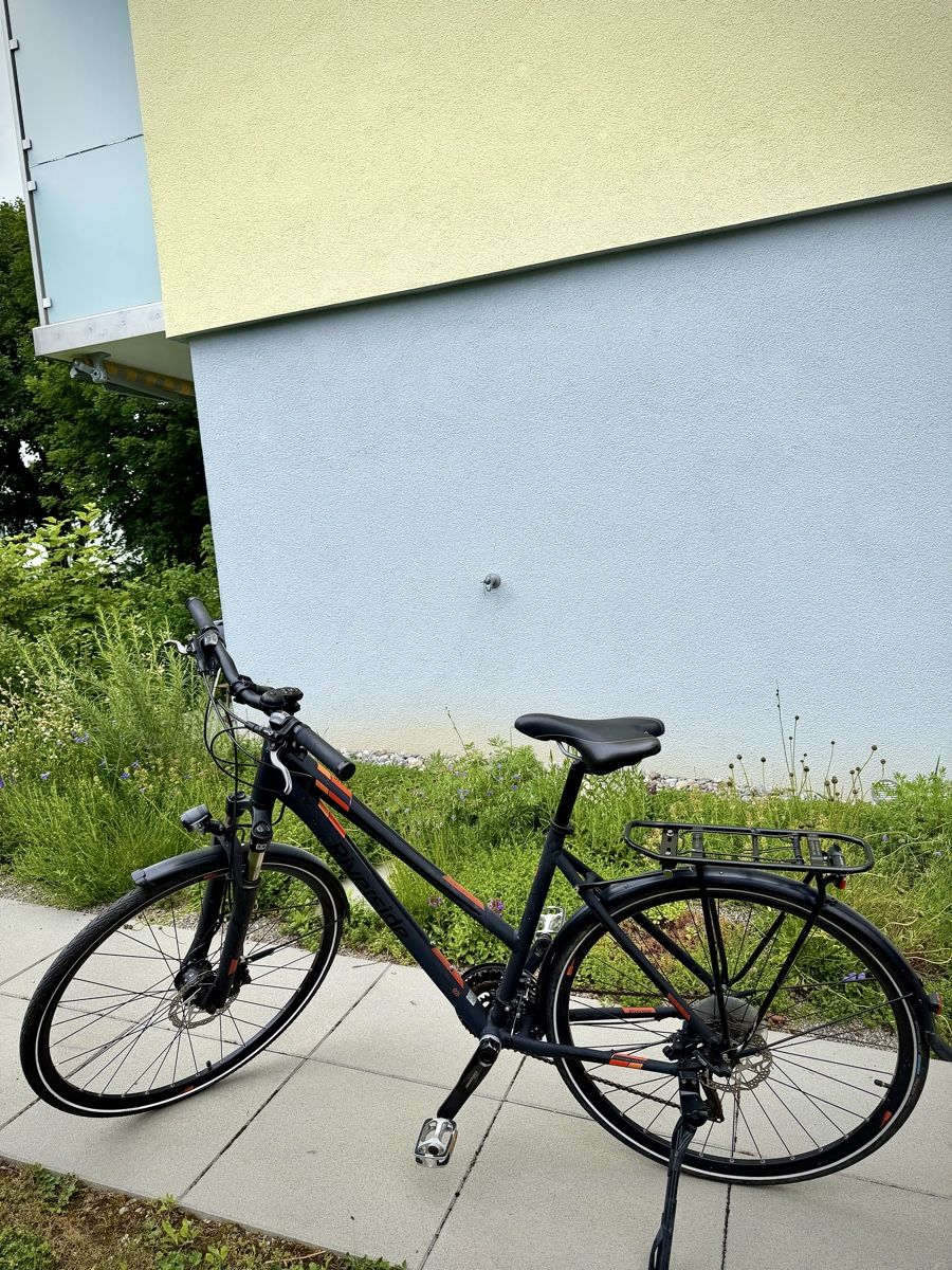 Biciclette: Trekkingvelo L  – Usato da Bern venduto da ser_7vtn 3