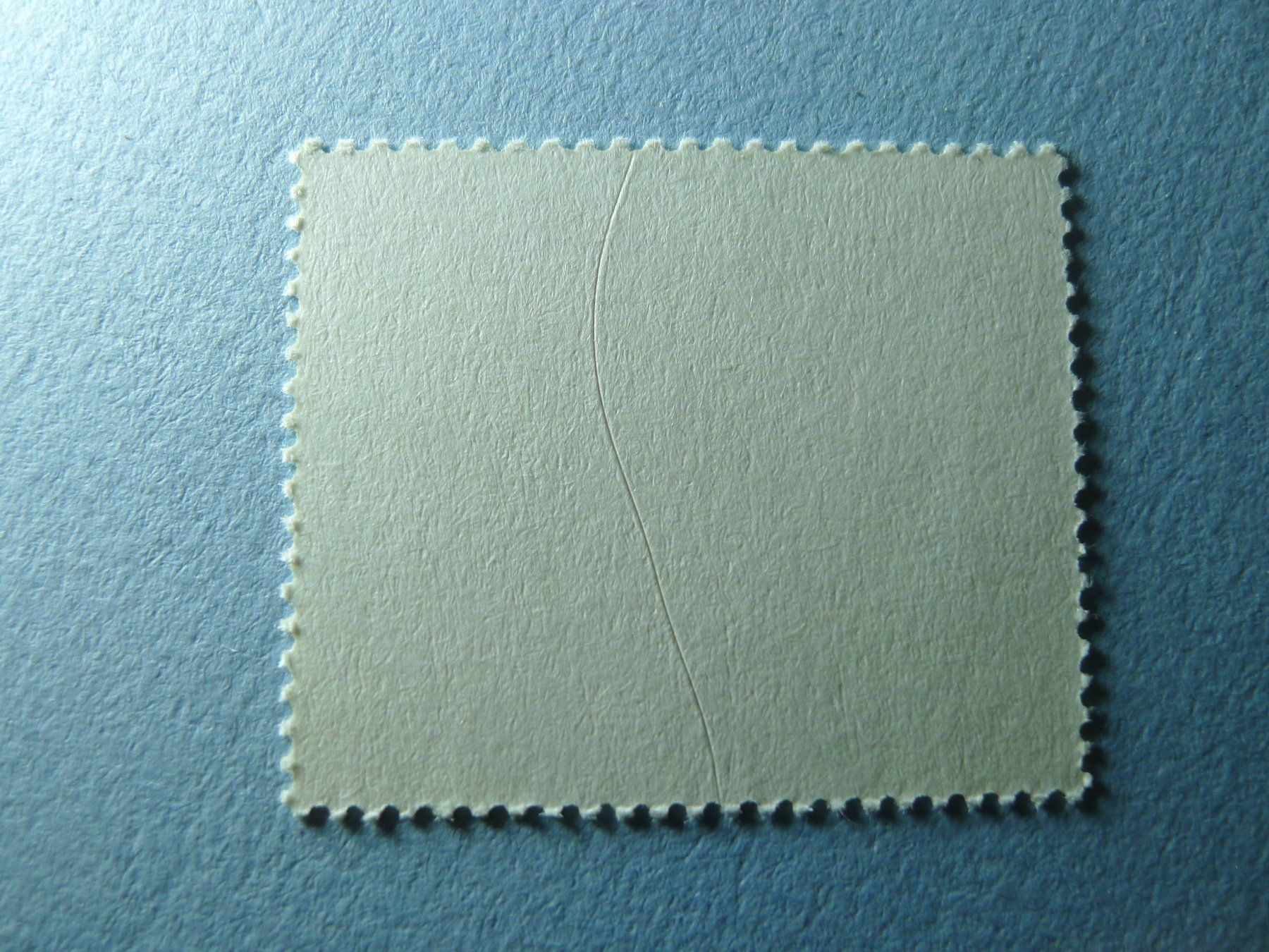 Alle Briefmarken: 2009 Nr. 1313 Sondermarke Wildkatze – Gebraucht aus Dagmersellen von sli72 1