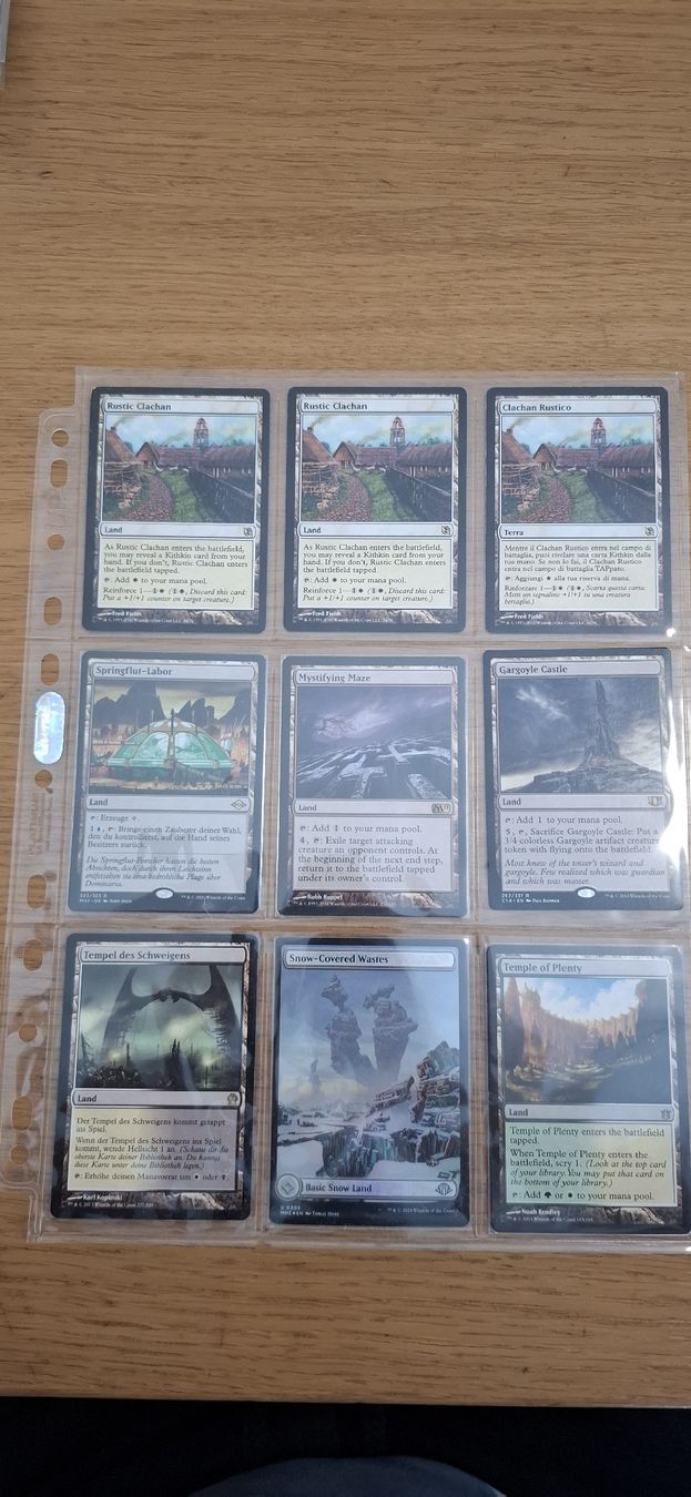 Magic The Gathering Carte collezionabili: Magic: The Gathering MTG Karten Sammlung Länder – Usato da Zürich venduto da rodney02