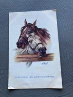 Alte Postkarte Pferde / Chevaux A. Wuyls, Paris, Serie 117