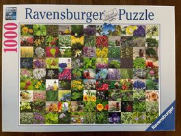 Puzzle 1000 Teile