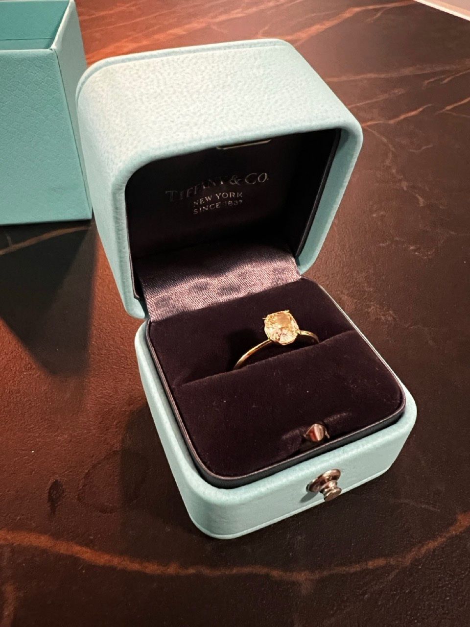 Tiffany & Co. Anelli: Tiffany True (Verlobungsring) – Nuovo e nell'imballaggio originale da Basel venduto da jihn
