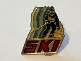 1 Pin SKI