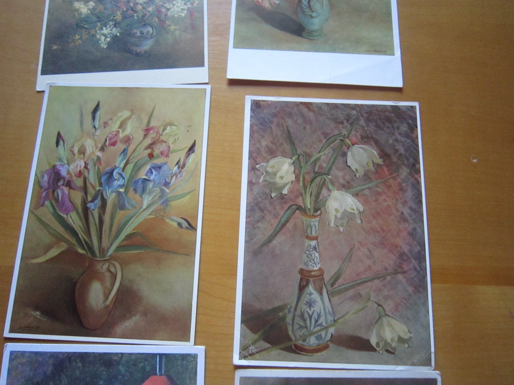 Cartes postales: No2 Postkarten Blumen ab 1959 – D'occasion à Gordola par Polentaefung 2