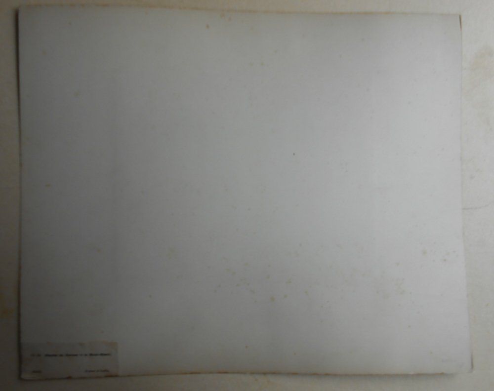 Foto & Immagini: Albuminabzug von Adolphe Braun. – Usato da Basel venduto da Domba 2