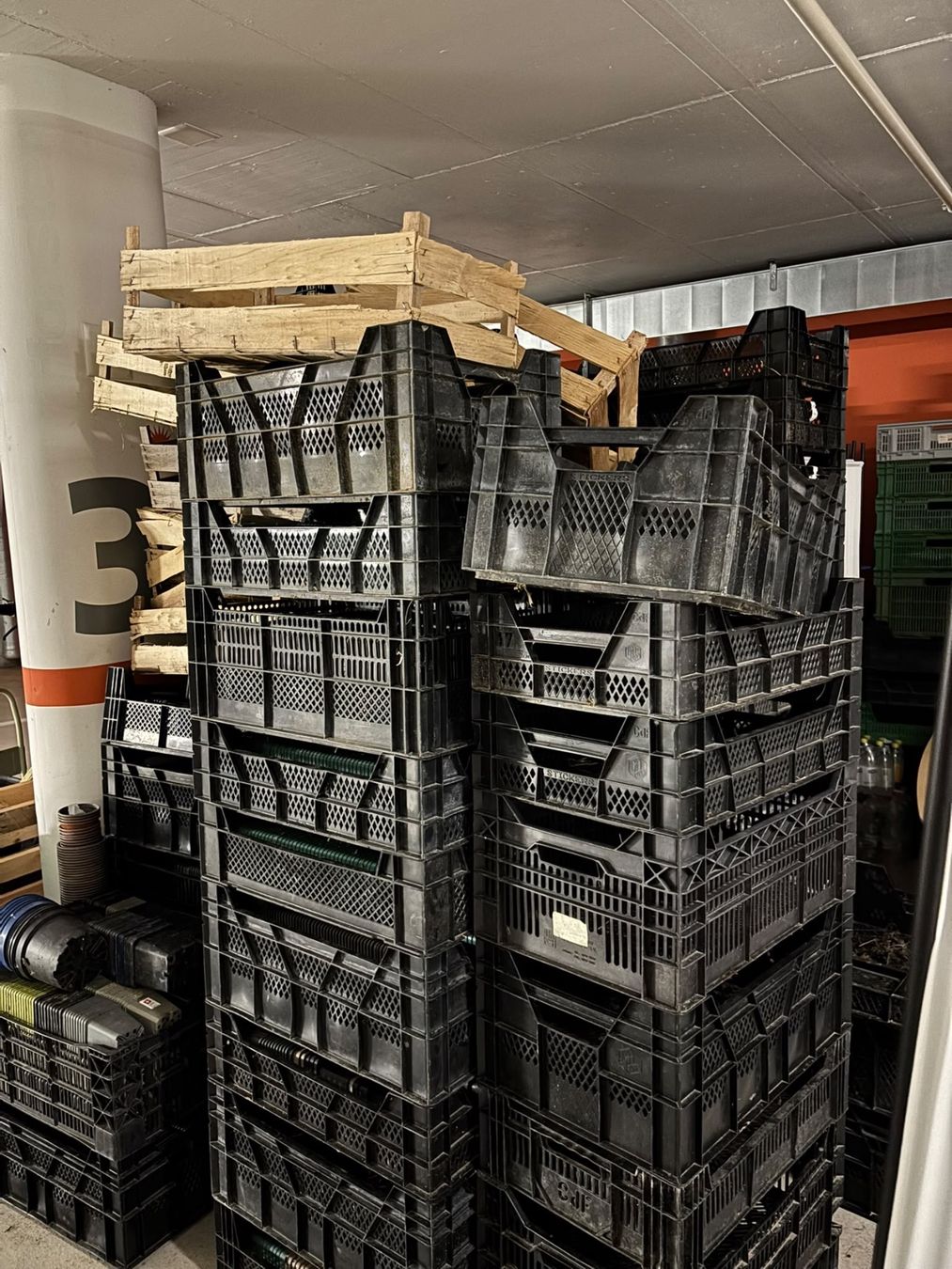 Casse di trasporto: Stapelbare Waviboxxen gebraucht – Usato da Frasnacht venduto da dan_l78r 1
