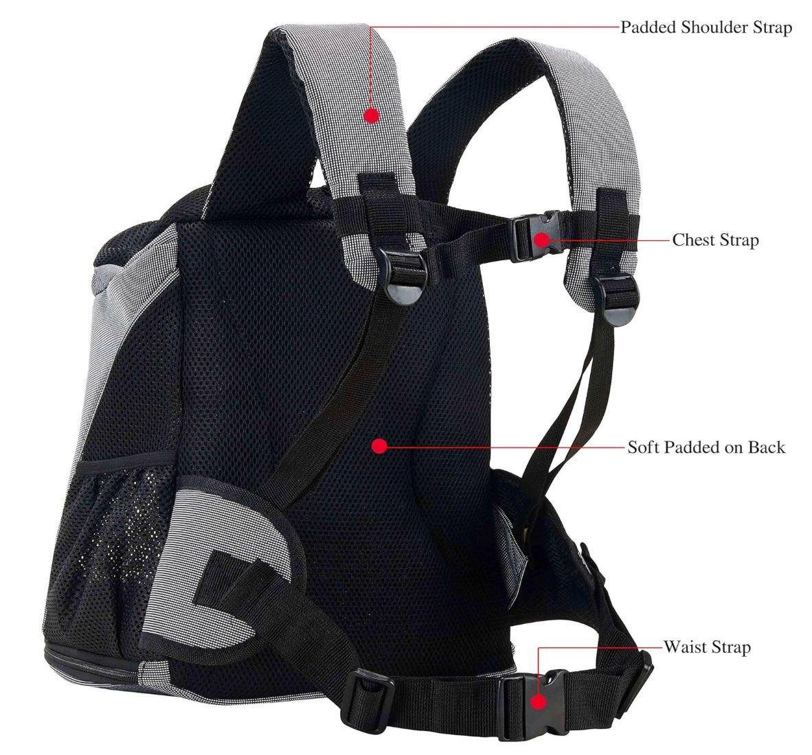Cucce & Letti: Haustier Rucksack – Usato da Cham venduto da and_9gt9 1