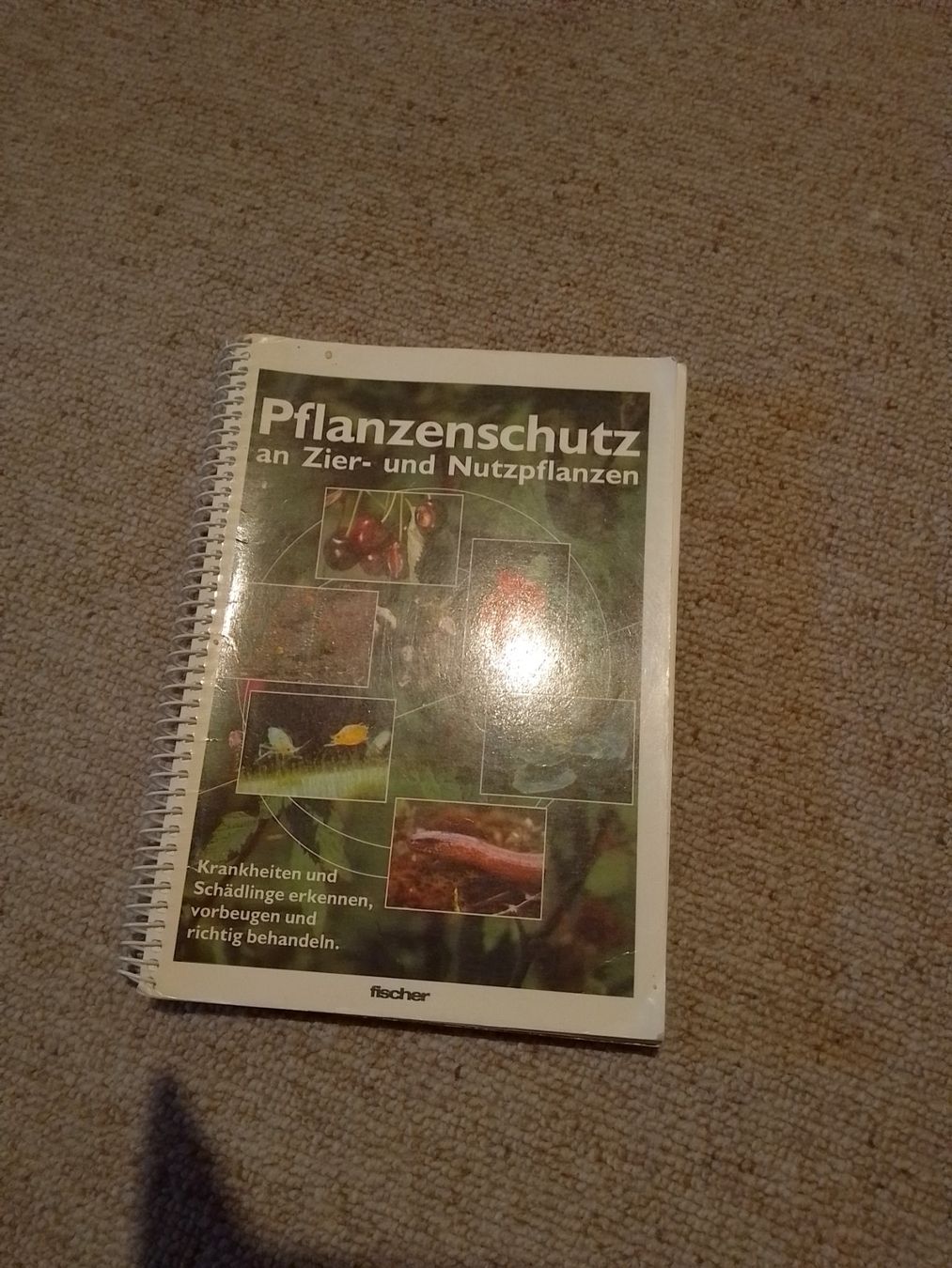 Libri: Gartenbau, Baumschule- Fachbücher – Usato da Weinfelden venduto da PaterPio1968 2