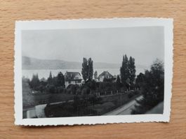 Altes orig. Foto Horgen 1947