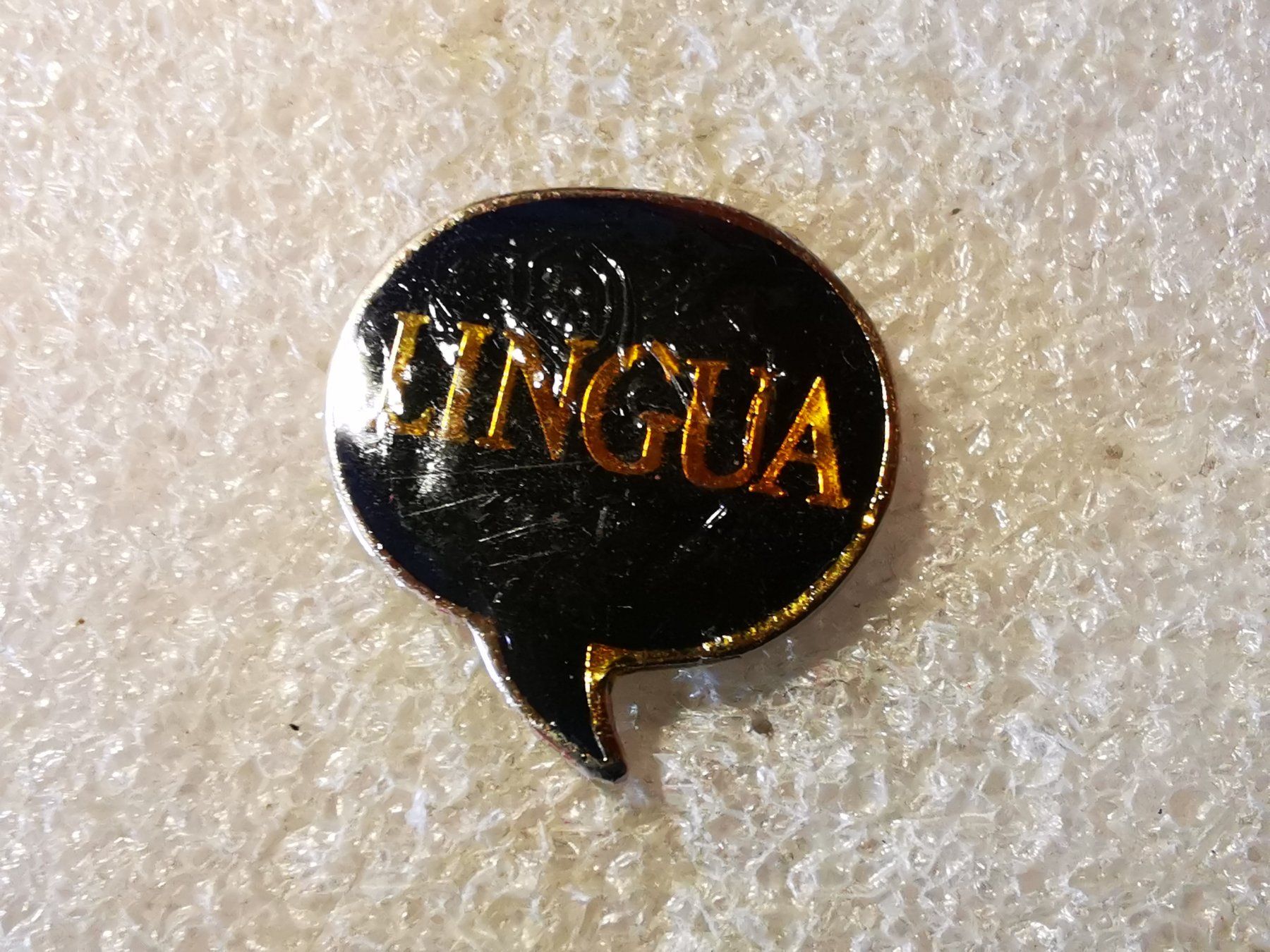 Plaketten & Abzeichen: Ansteckpin 75: Lingua – Gebraucht aus Oppligen von Pin-Fall-Shop