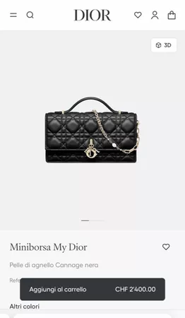 Dior Bag