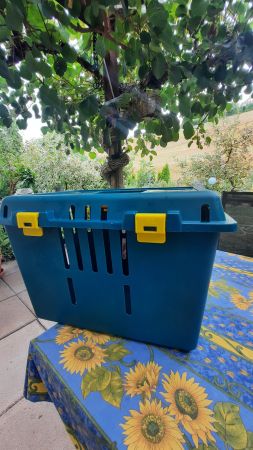 Büsi Transportbox
