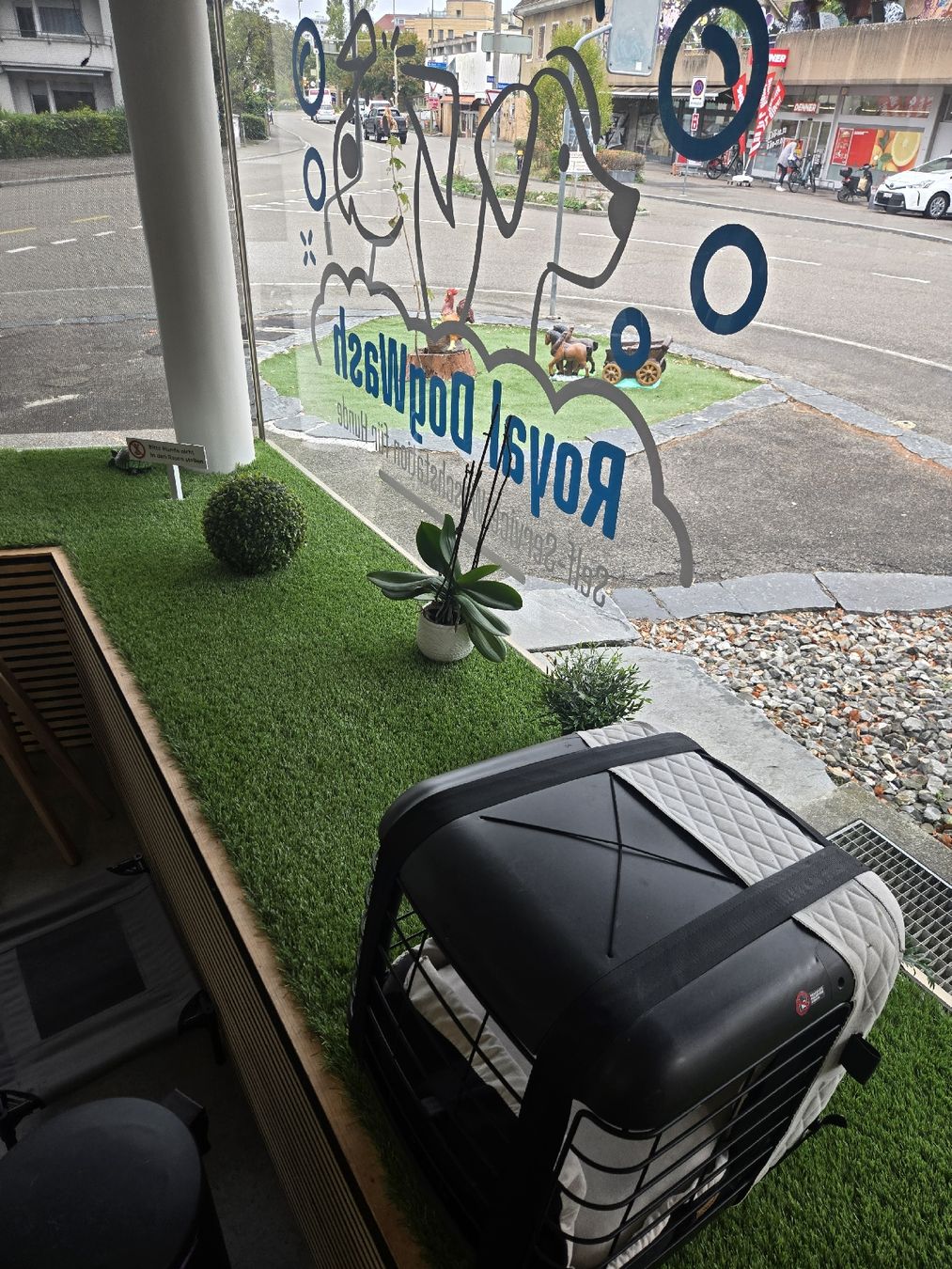 Niches, paniers: 4pets Transportbox Caree  – D'occasion à Basel par Moebeloutlet1 6