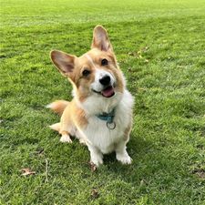 Profile image of mar_p8dm