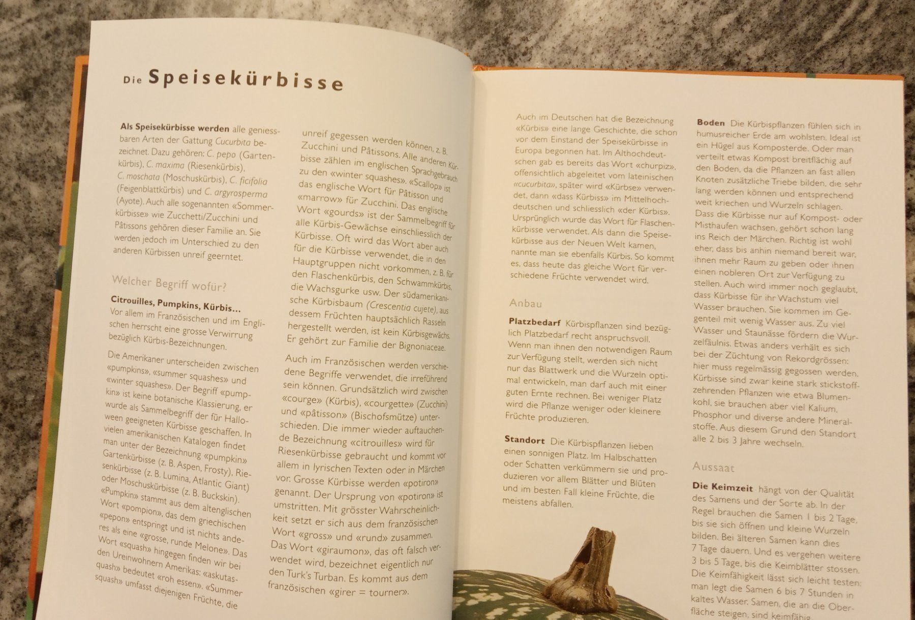 Bücher: Kürbis Kreative Saisonküche – Gebraucht aus Chur von Nisami 5