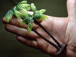 30x Kokospalme als Modell - Palmiers cocotiers pour maquette