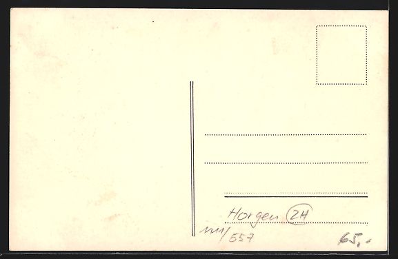 Cartoline postali: Horgen, Restaurant Ryf, Hof, Baum, Stadt – Usato da Berlin venduto da bartko-reher 1