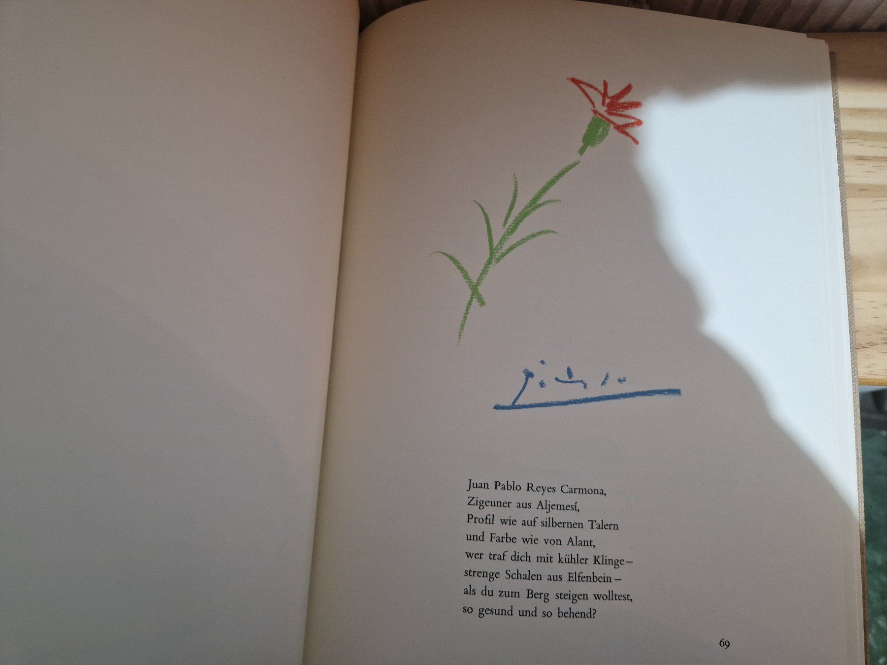 Libri: Picasso Buch "Geschichten ohne Liebe" – Usato da Seedorf BE venduto da Stibutz 2