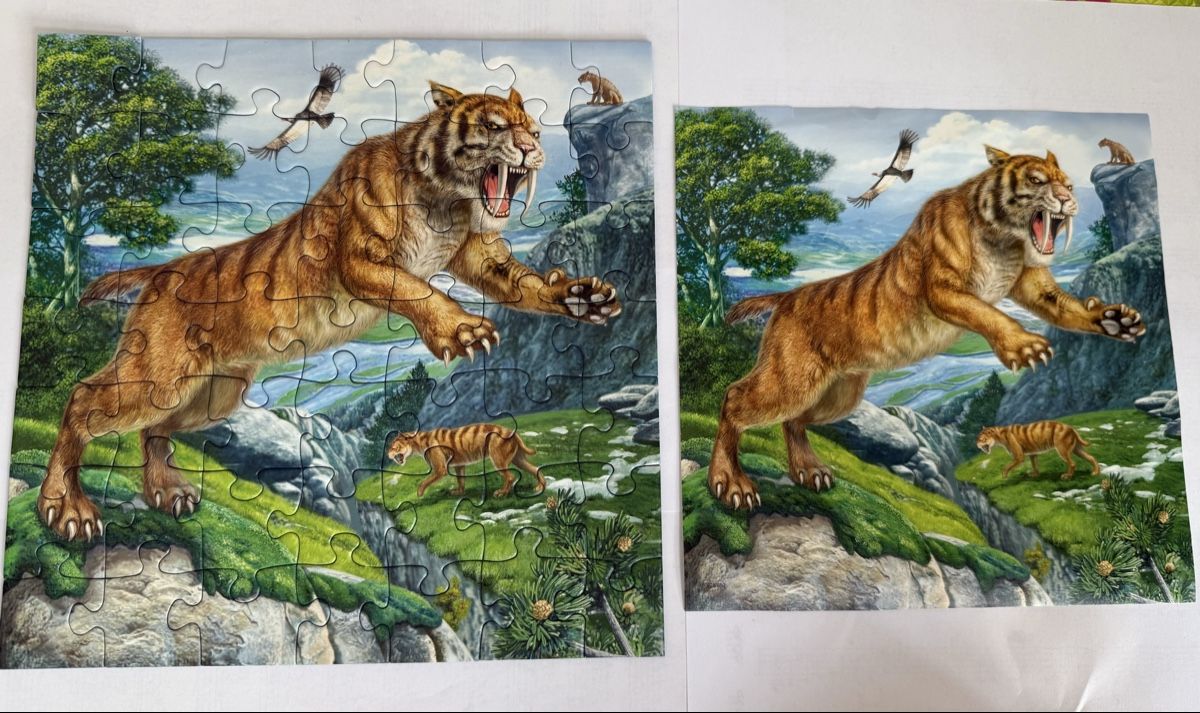 Ravensburger Puzzles: Ravensburger - 3 puzzles 3x49 pcs, 4-5 ans – Gebraucht aus Genève von valmath 1