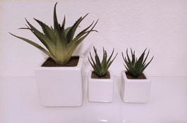 3er Kunstpflanzen Topf-Set