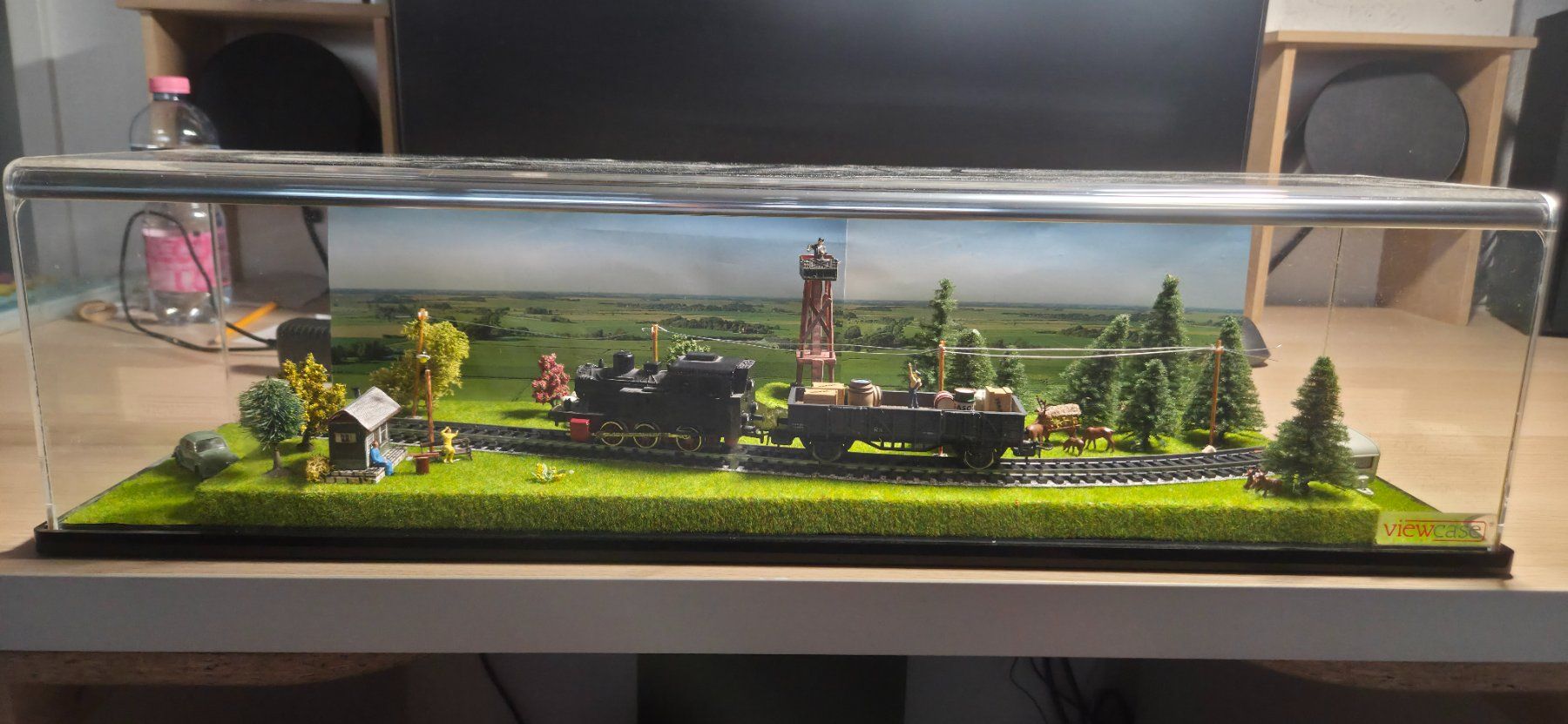 Modellini di ferrovie: Diorama H0 beleuchtet – Usato da Rümikon AG venduto da Schelm 1